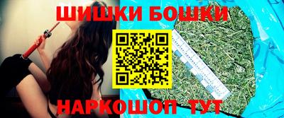 соль ск Можга