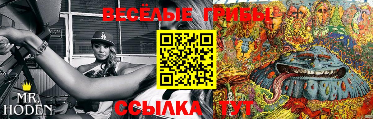 Галлюциногенные грибы MAGIC MUSHROOMS  Псилоцибиновые грибы мухоморы  Вход с VPN  Дивногорск 