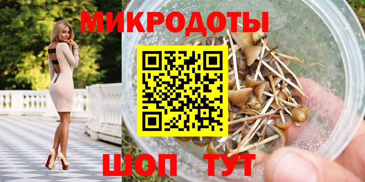 Псилоцибиновые грибы мицелий Дивногорск